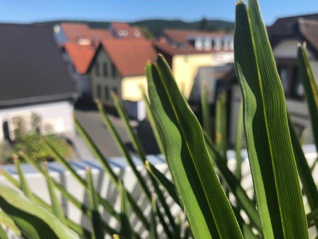 Wohnen Beim Brotsommelier - Alpenkruste Appartement Darmstadt Buitenkant foto
